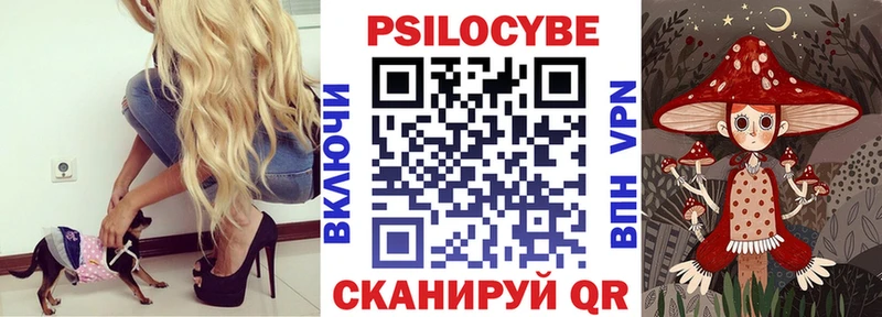 Купить где  Дальнегорск  Галлюциногенные грибы GOLDEN TEACHER 